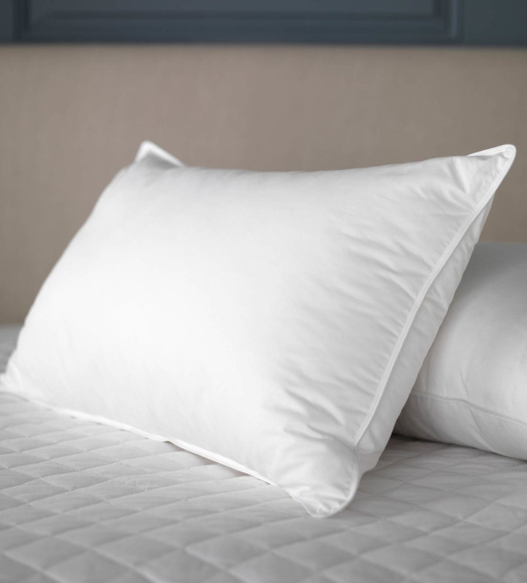 2x-Hotel-Quality-Pillow-1000G